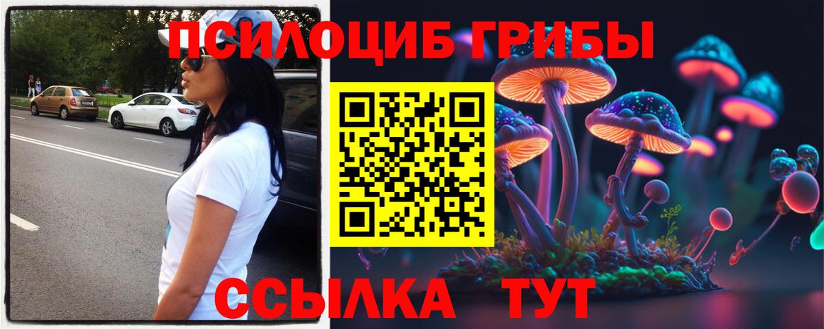 Лыткарино  Псилоцибиновые грибы Psilocybine cubensis  Вход с VPN 